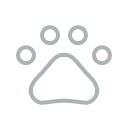 Pet Friendly